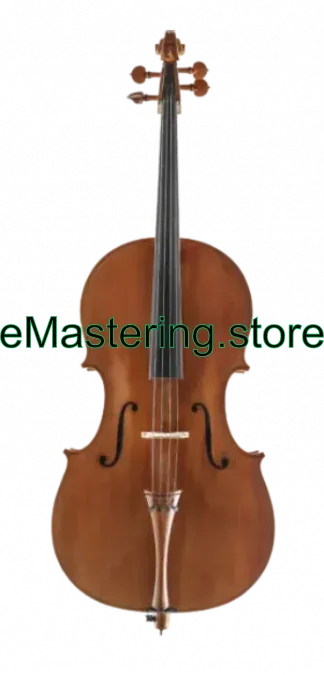 Torino Montagnana Model Cello