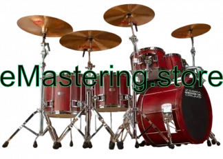 Zebra drums London Plane Tree